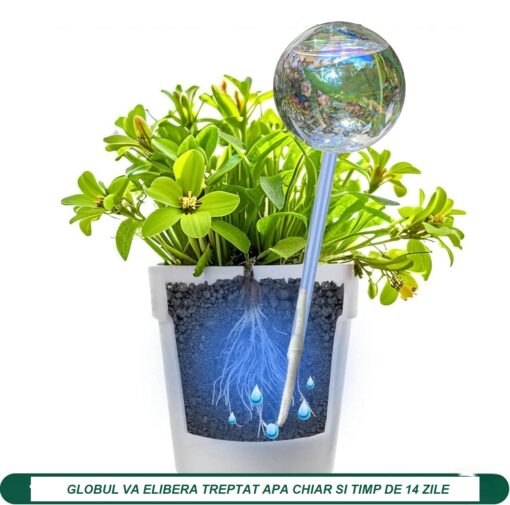 Globuri pentru udarea plantelor, 1+1 GRATIS - imagine 2