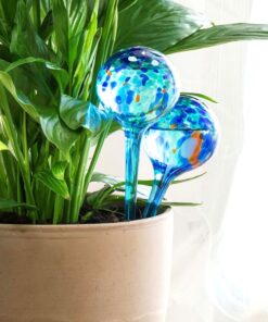 Globuri pentru udarea plantelor, 1+1 GRATIS